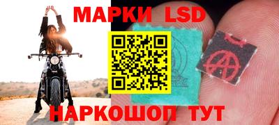 СК Обь