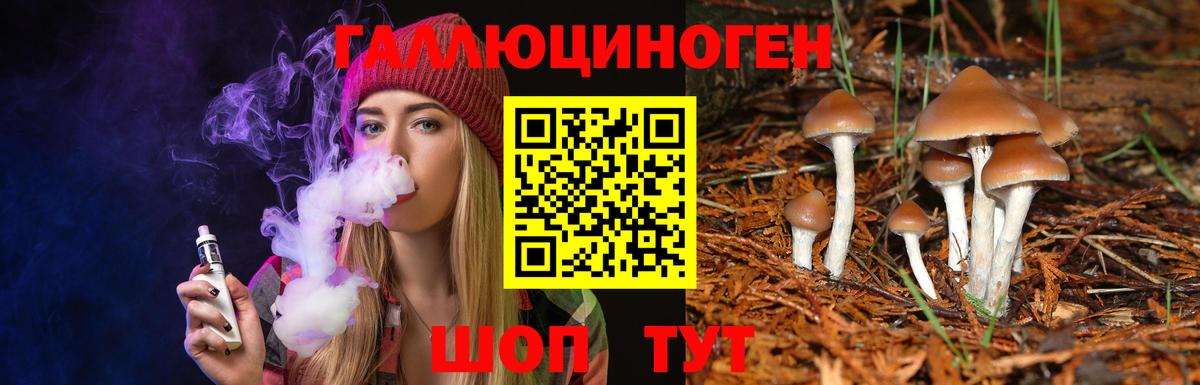 Галлюциногенные грибы Psilocybine cubensis Кинешма